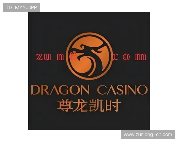 尊龙凯时ag旗舰厅登陆安全保障措施全面解析，保障玩家账号信息与资金安全无忧
