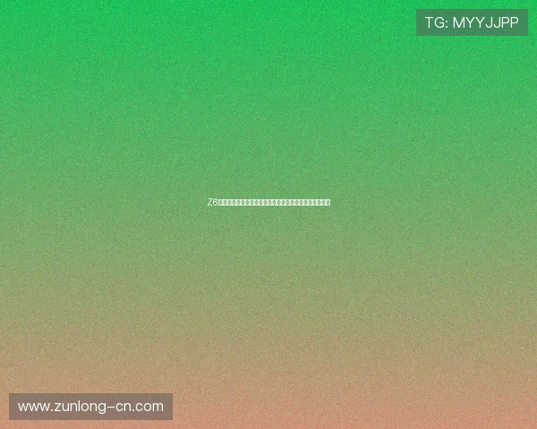 Z6尊龙手机版常见故障排查与技术支持，保障游戏顺畅运行